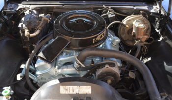1967 Pontiac Firebird full